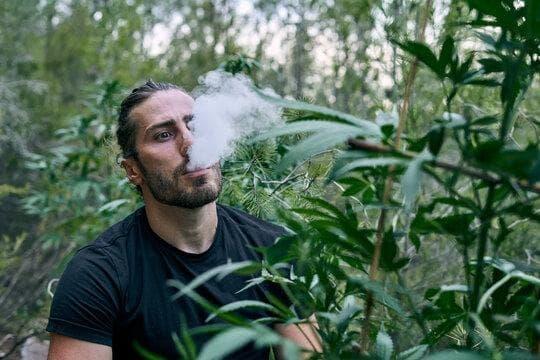 Best IBvape options 2025 <a href=